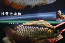 如何區分B過和真過背？