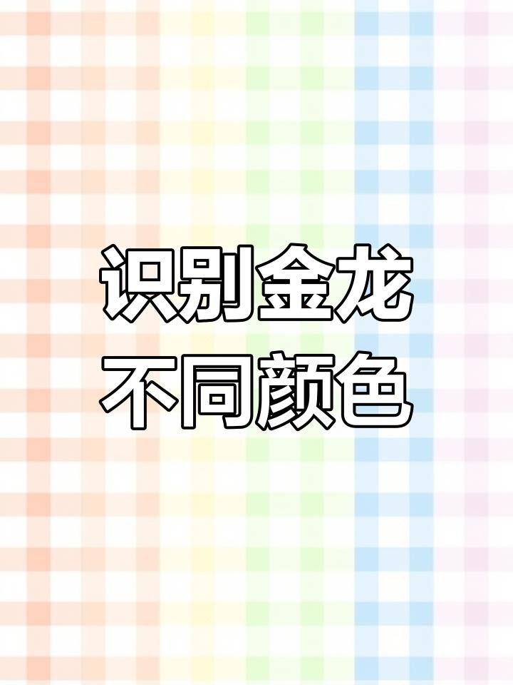 如何區分藍底金龍和金龍？