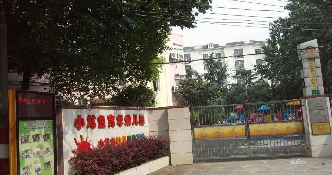 上海小龍魚幼兒園官網招生