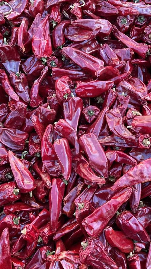 紅龍魚品相等級劃分