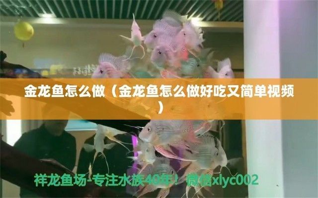 河北金龍魚做菜，關于金龍魚烹飪的基本知識和技巧
