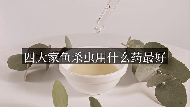哪種藥物治療魚虱子最有效？