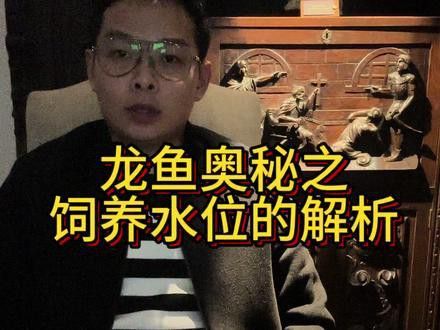 紅龍魚缸的最佳水位