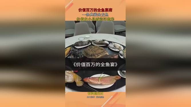 一條金龍魚(yú)大概多少錢(qián)啊視頻