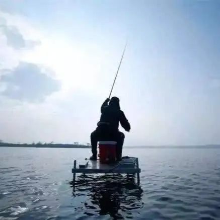 魚浮頭到死大概多久