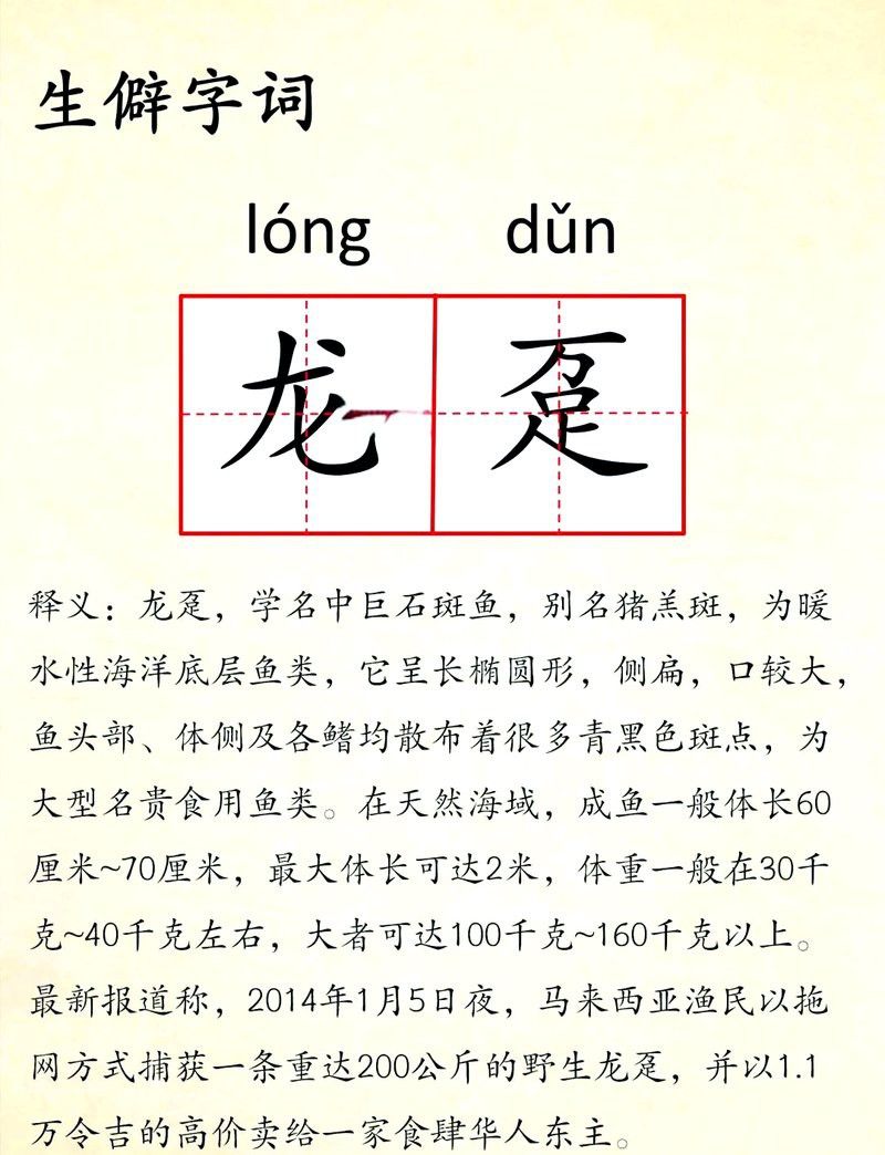 再給我幾個龍躉的近義詞