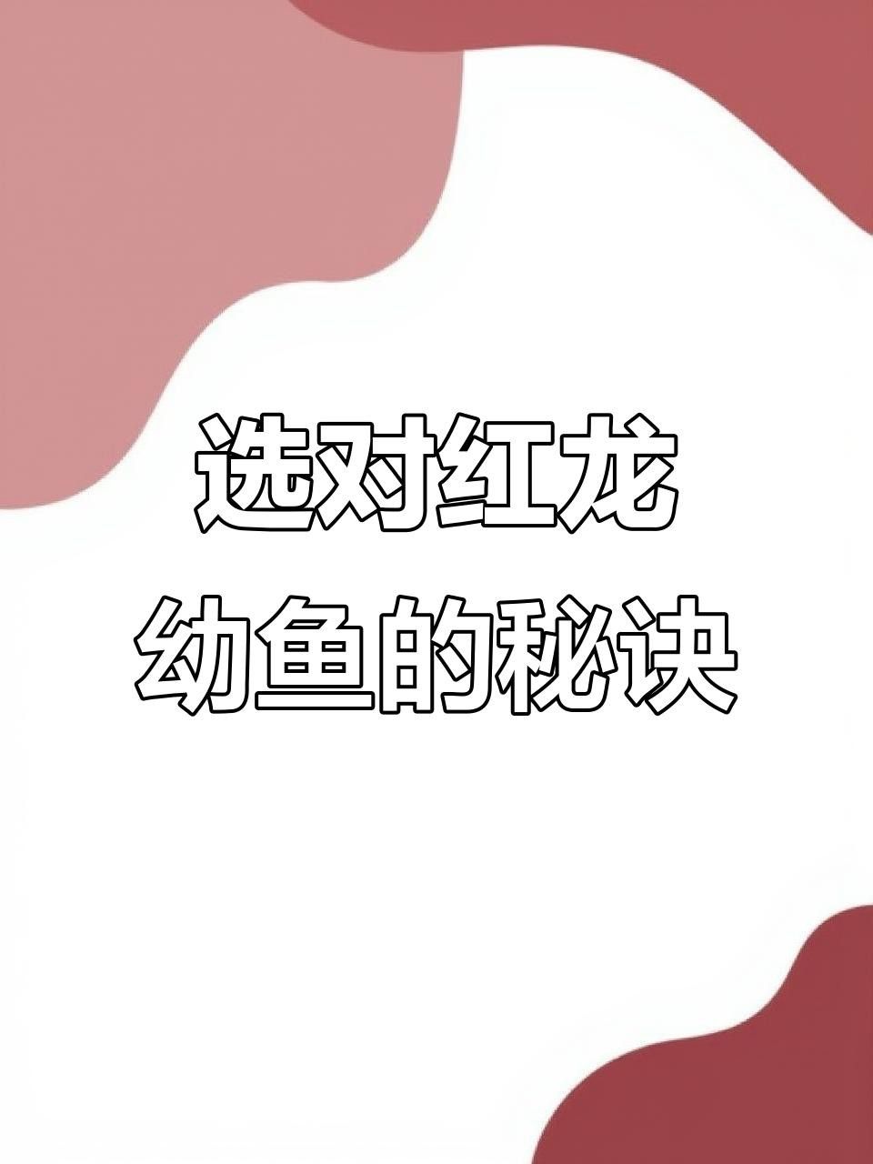 如何判斷龍魚苗的品相