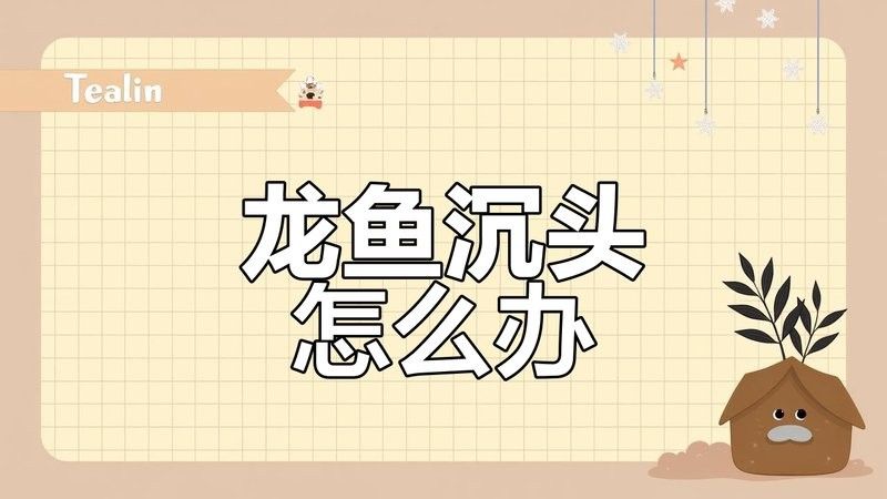 龍魚沉頭有哪些治療方法 龍魚沉頭有哪些治療方法 龍魚百科 第6張