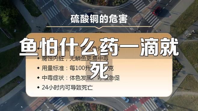 這些藥物對龍魚有副作用嗎？