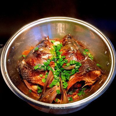 龍貓互動性如何提升 龍貓互動性如何提升 龍魚百科 第1張
