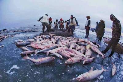 國內紅龍魚繁殖基地排名第一（國內紅龍魚繁殖基地排名）