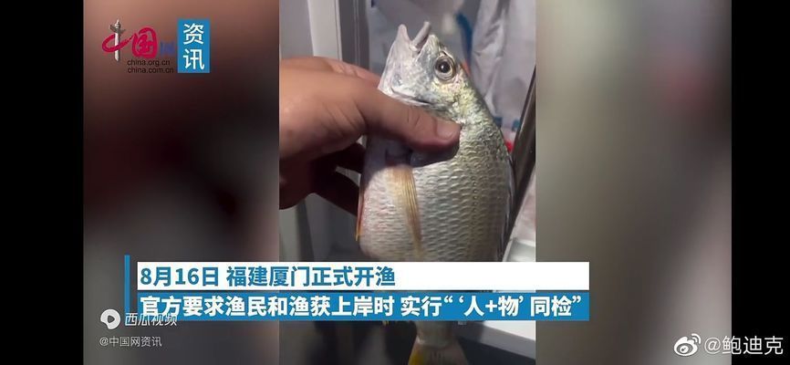 龍魚經(jīng)常張嘴呼吸：龍魚經(jīng)常張嘴呼吸可能是由于多種因素引起的