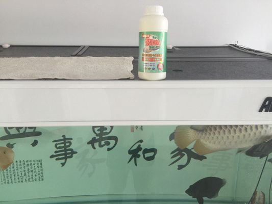 速倍妥飼料適用魚種范圍：速倍妥飼料與其他品牌的比較， 速倍妥飼料適用魚種范圍：速倍妥飼料與其他品牌的比較， 龍魚百科 第2張