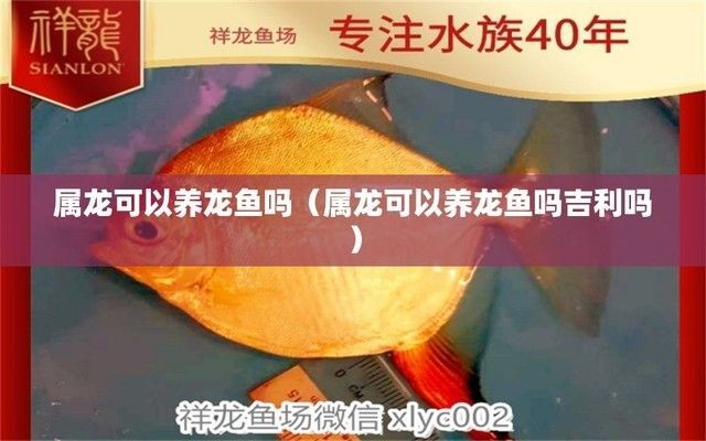 龍魚服是什么生肖：《說苑·正諫》中的“白龍魚服”是一個富有文化內涵的成語