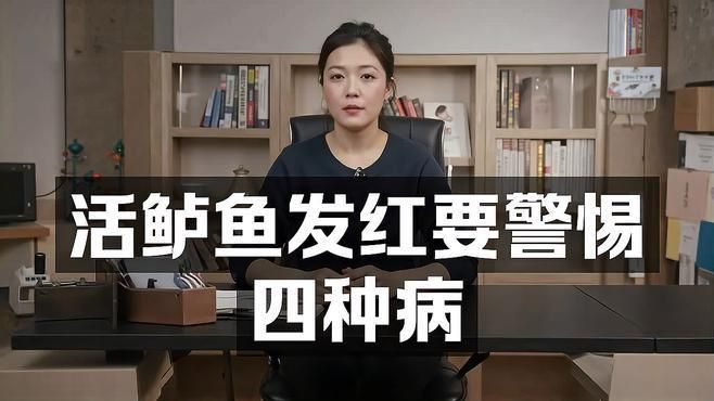 魚鰭充血發紅要警惕四種病