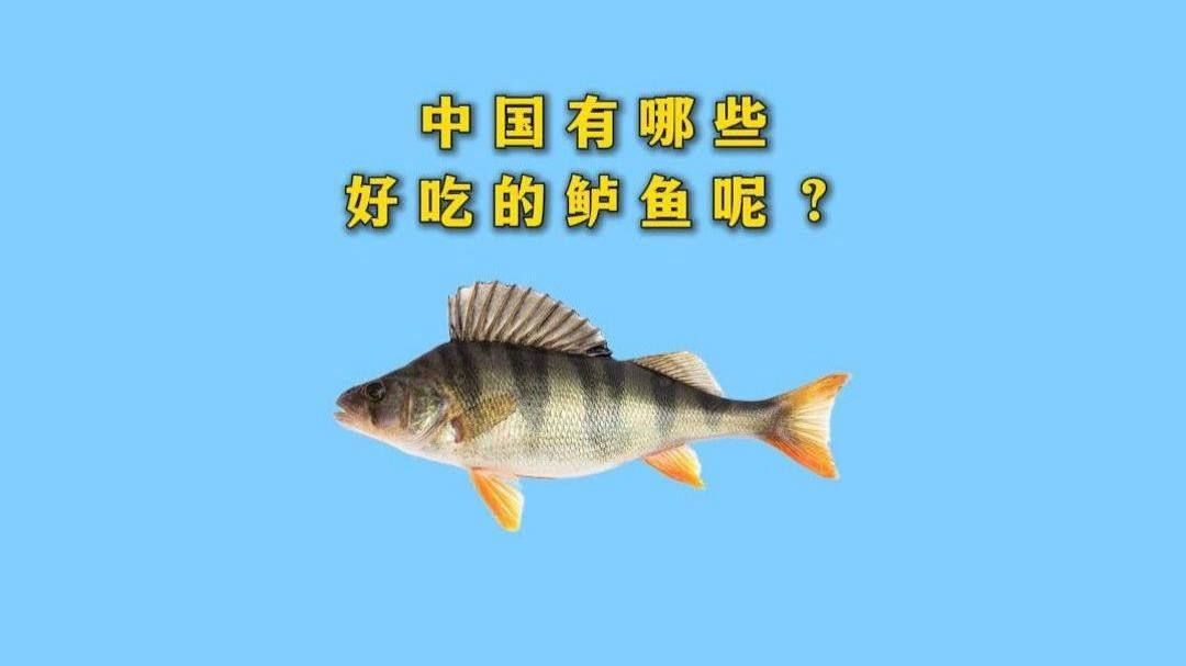 哪些魚類適合清蒸？