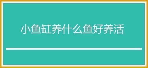 家庭魚缸養(yǎng)什么魚好活，家庭魚缸養(yǎng)殖 家庭魚缸養(yǎng)什么魚好活，家庭魚缸養(yǎng)殖 龍魚百科 第5張