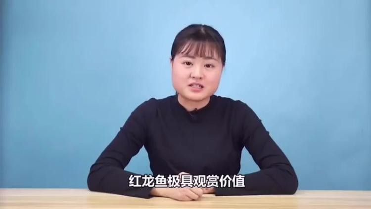 如何搭配紅龍魚發色食物？