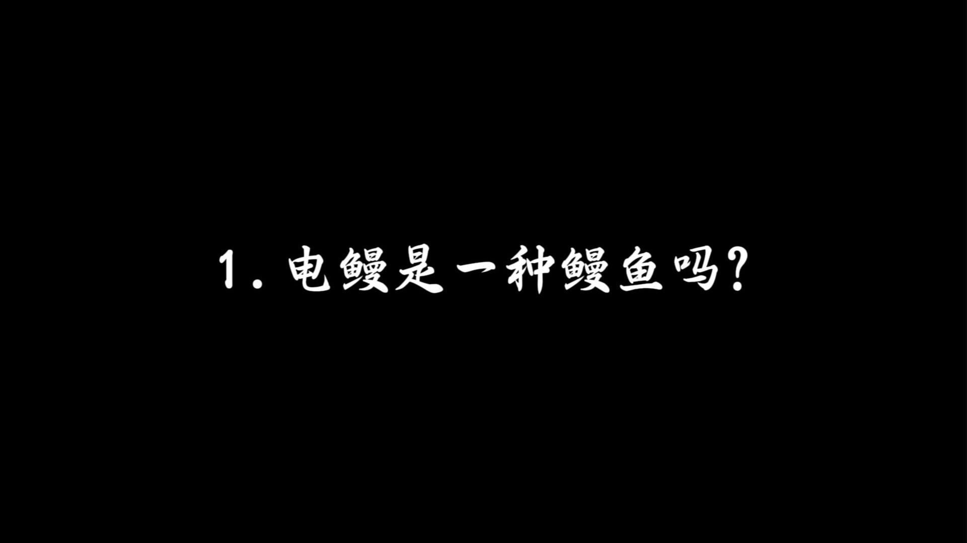鰻魚和電鰻怎么區分