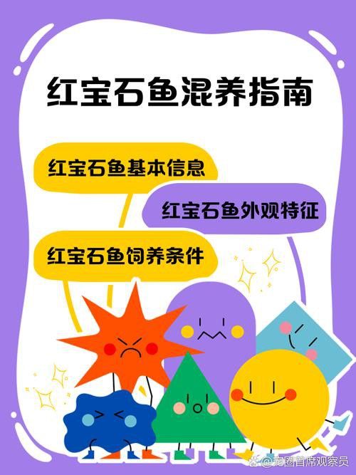 古典藍龍魚的最佳混養伙伴有哪些？ 古典藍龍魚的最佳混養伙伴有哪些？ 龍魚百科 第2張