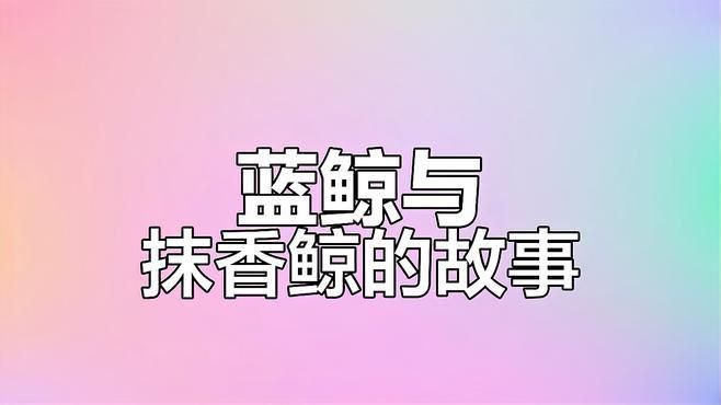 藍(lán)鯨vs抹香鯨 藍(lán)鯨vs抹香鯨 龍魚百科 第3張
