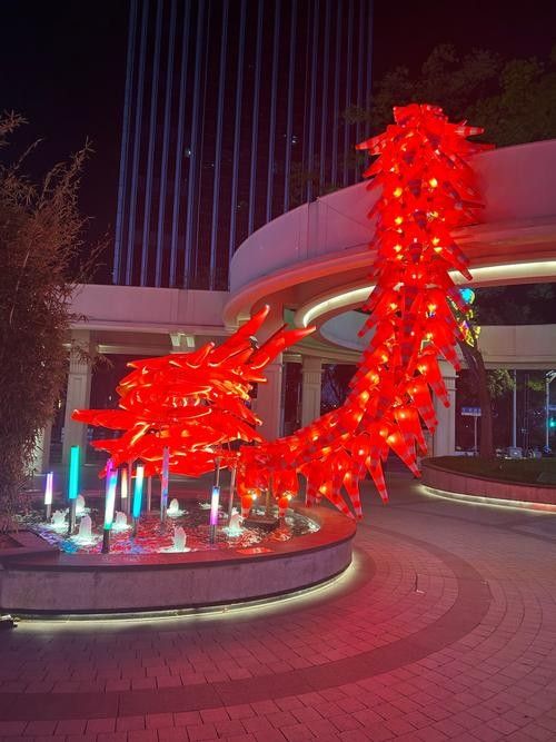 龍魚用什么燈光養(yǎng)好一點