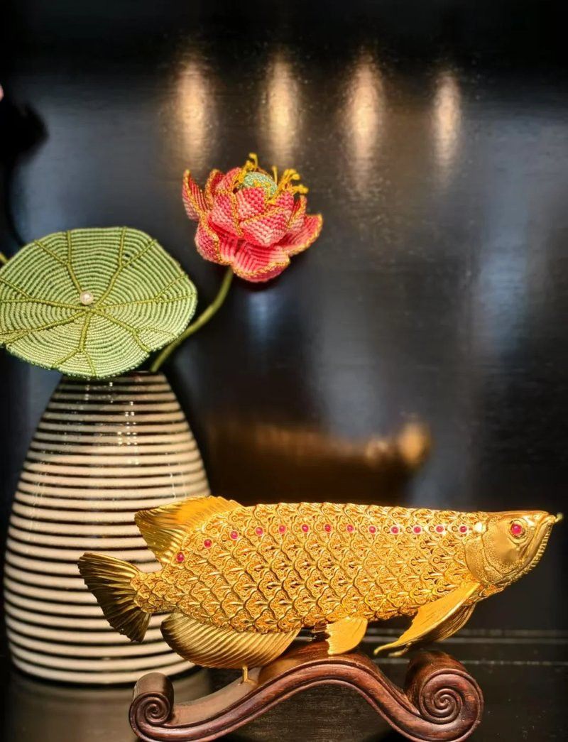 女生說金龍魚時有哪些表情？ 女生說金龍魚時有哪些表情？ 龍魚百科 第4張