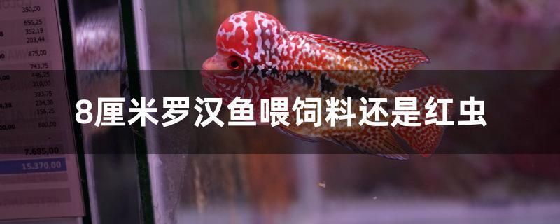 羅漢魚能吃龍魚飼料嗎：羅漢魚是否能吃龍魚飼料 羅漢魚能吃龍魚飼料嗎：羅漢魚是否能吃龍魚飼料 龍魚百科 第3張
