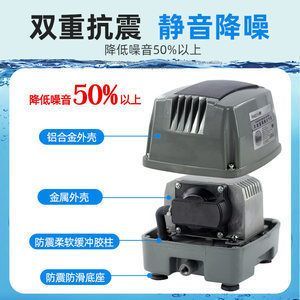 六角龍魚喂什么最好：六角龍魚水溫多少度適應