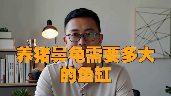龜魚共養需要多大的水族箱？ 龜魚共養需要多大的水族箱？ 龍魚百科 第2張