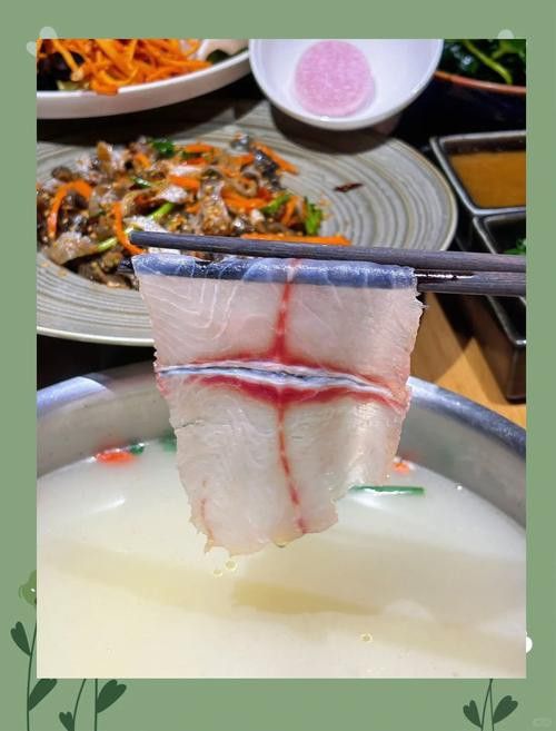 麗江龍魚專賣店
