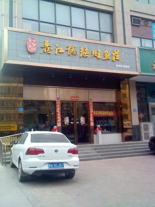 麗江龍魚專賣店