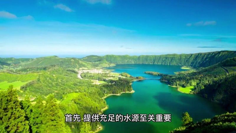 繁殖期間需要喂食嗎？