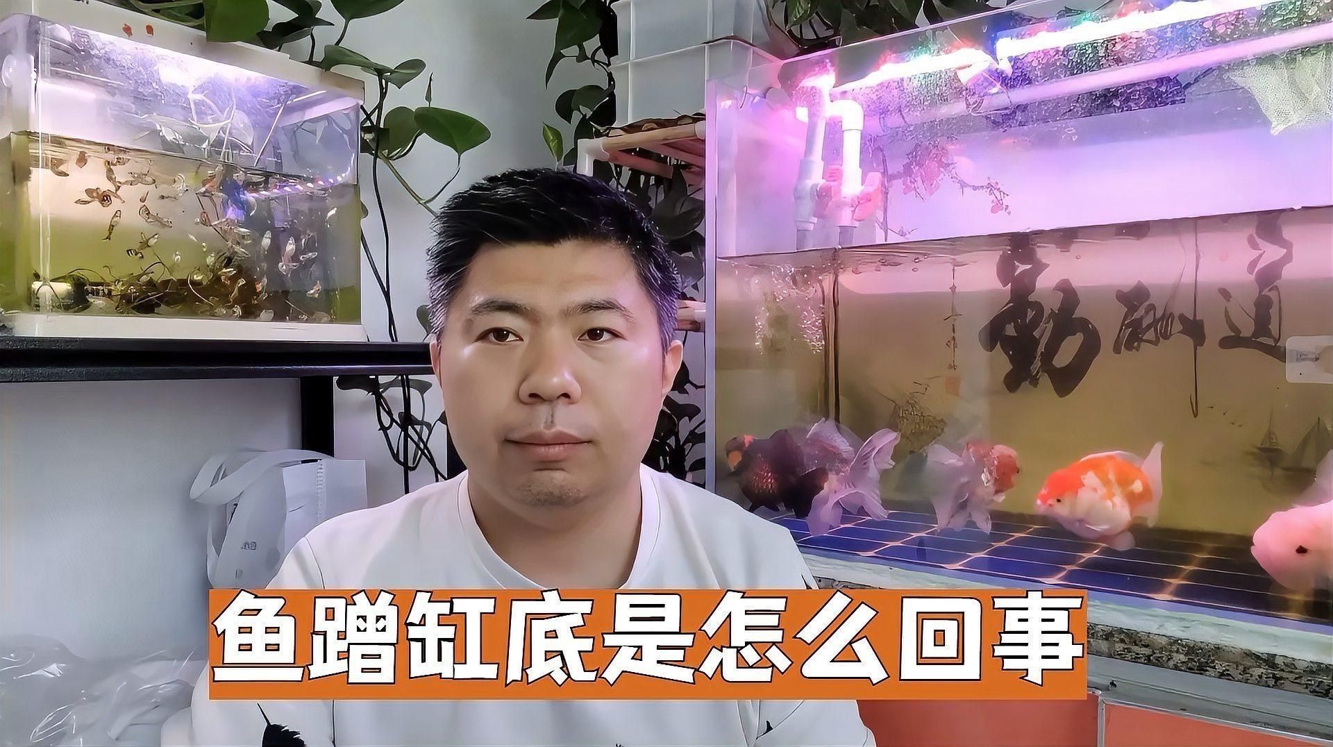 如何判斷魚撞缸是否由水質問題引起？