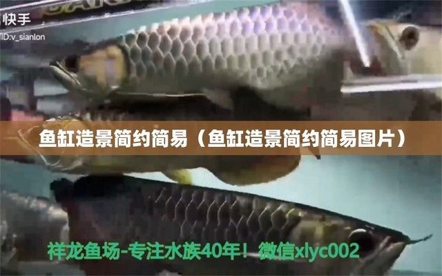 魚缸造景圖片 簡約（簡約風格魚缸造景搭配技巧）