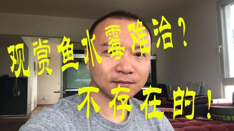 龍魚充血如何早期發現？
