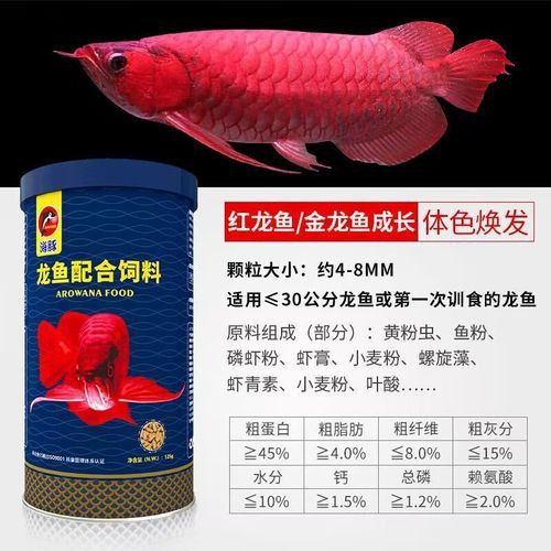 紅龍魚飼料有哪些品牌推薦？