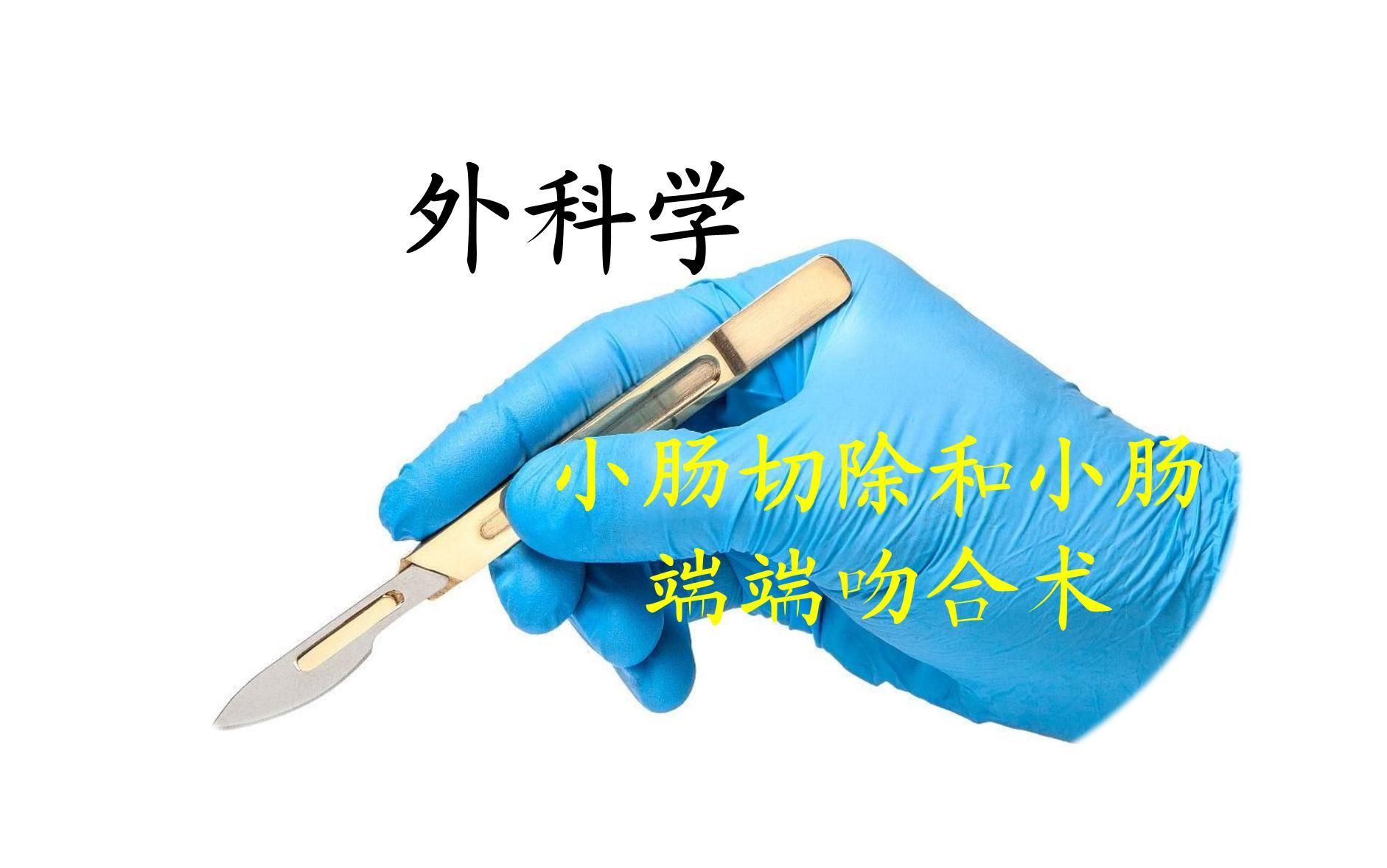 能提供更詳細的手術步驟嗎? 龍魚百科 第2張 能提供更詳細的手術步驟嗎? 能提供更詳細的手術步驟嗎? 龍魚百科 第2張