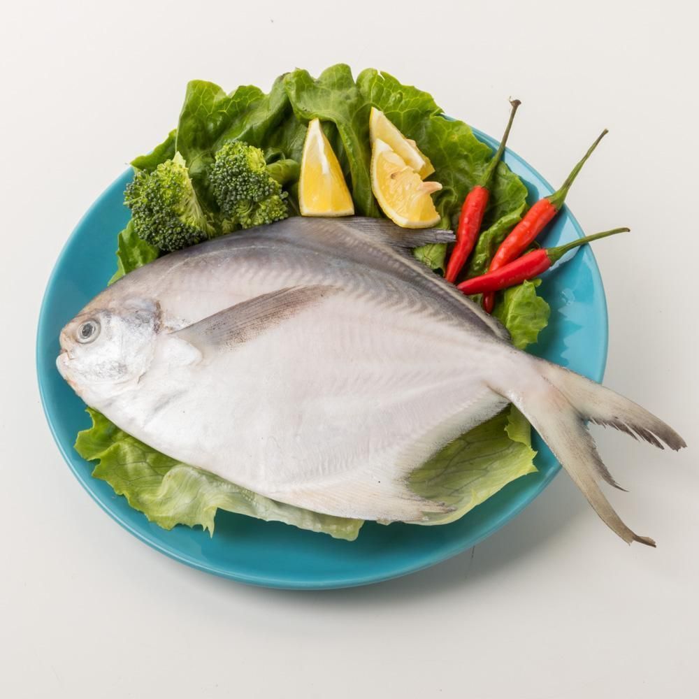鯧魚和龍魚混養嗎：鯧魚和龍魚一起養嗎