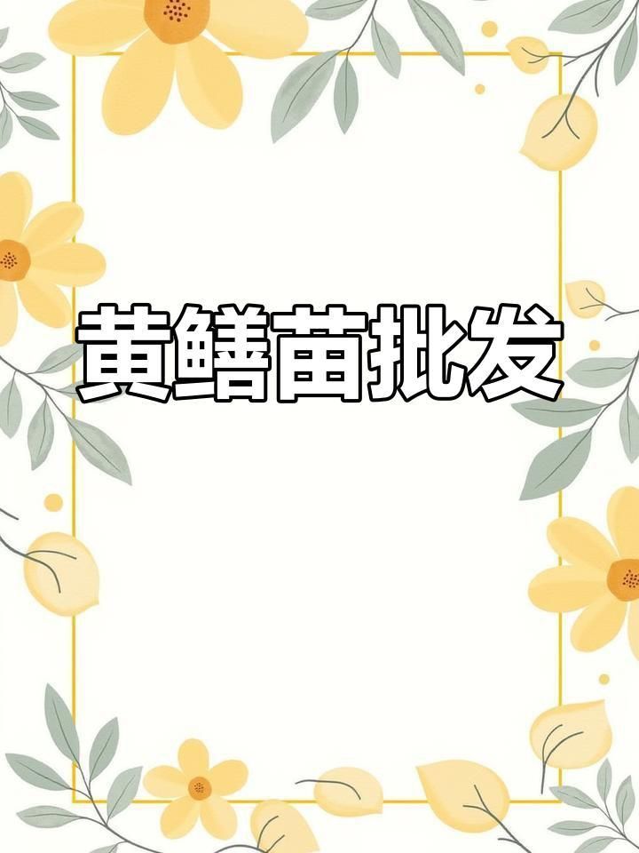 黃鱔苗批發(fā)