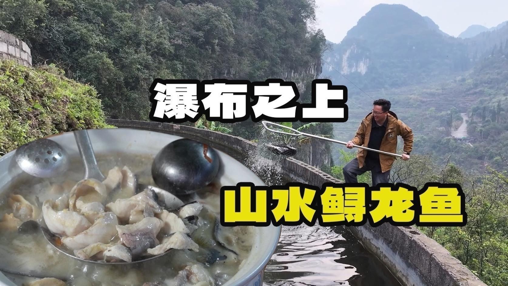 龍魚的最佳烹飪時間