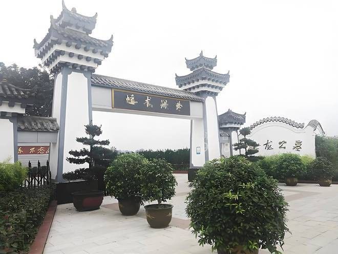 龍形地葬穴的價格是多少？
