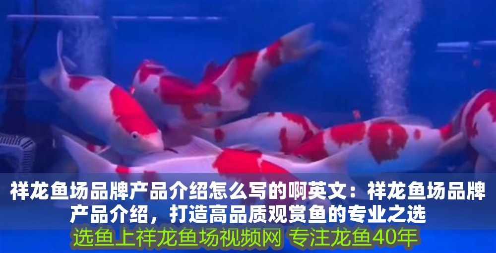 祥龍魚(yú)場(chǎng)品牌產(chǎn)品介紹怎么寫(xiě)的啊英文:祥龍魚(yú)場(chǎng)品牌產(chǎn)品介紹,打造高品質(zhì)觀賞魚(yú)的專(zhuān)業(yè)之選 龍魚(yú)百科 第1張 祥龍魚(yú)場(chǎng)品牌產(chǎn)品介紹怎么寫(xiě)的啊英文:祥龍魚(yú)場(chǎng)品牌產(chǎn)品介紹,打造高品質(zhì)觀賞魚(yú)的專(zhuān)業(yè)之選 祥龍魚(yú)場(chǎng)品牌產(chǎn)品介紹怎么寫(xiě)的啊英文:祥龍魚(yú)場(chǎng)品牌產(chǎn)品介紹,打造高品質(zhì)觀賞魚(yú)的專(zhuān)業(yè)之選 龍魚(yú)百科 第1張