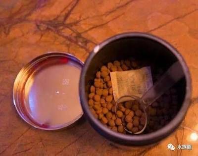 龍魚訓食飼料配方：適用于龍魚的訓練飼料配方和訓練飼料配方和方法 龍魚訓食飼料配方：適用于龍魚的訓練飼料配方和訓練飼料配方和方法 龍魚百科 第4張