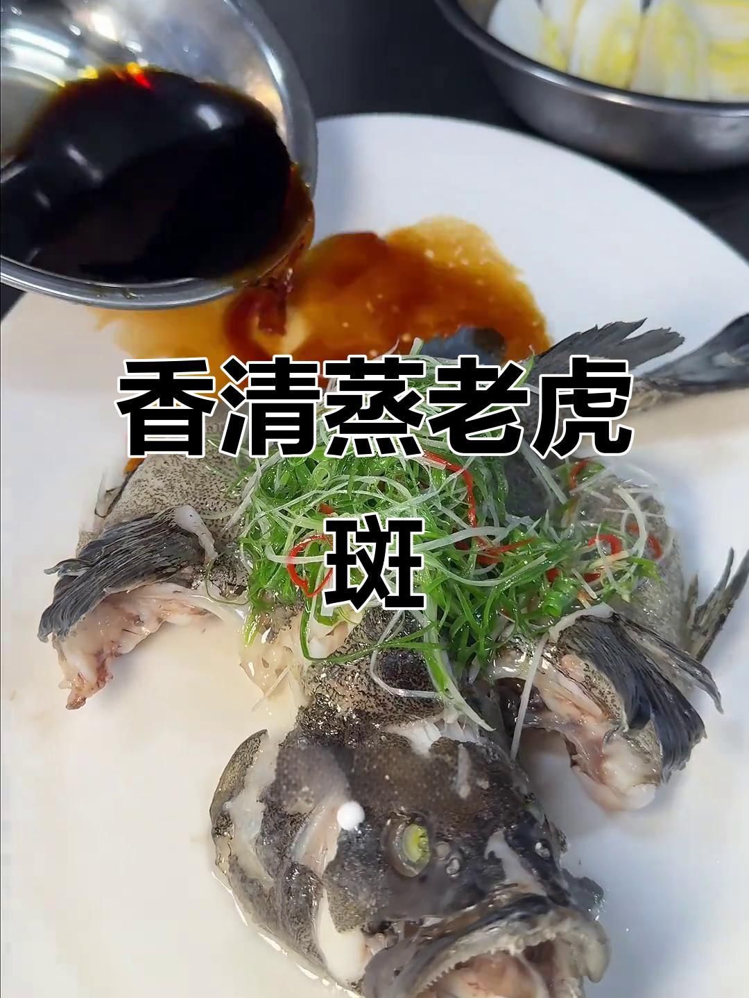 老虎斑魚的最佳吃法 老虎斑魚的最佳吃法 龍魚百科 第3張
