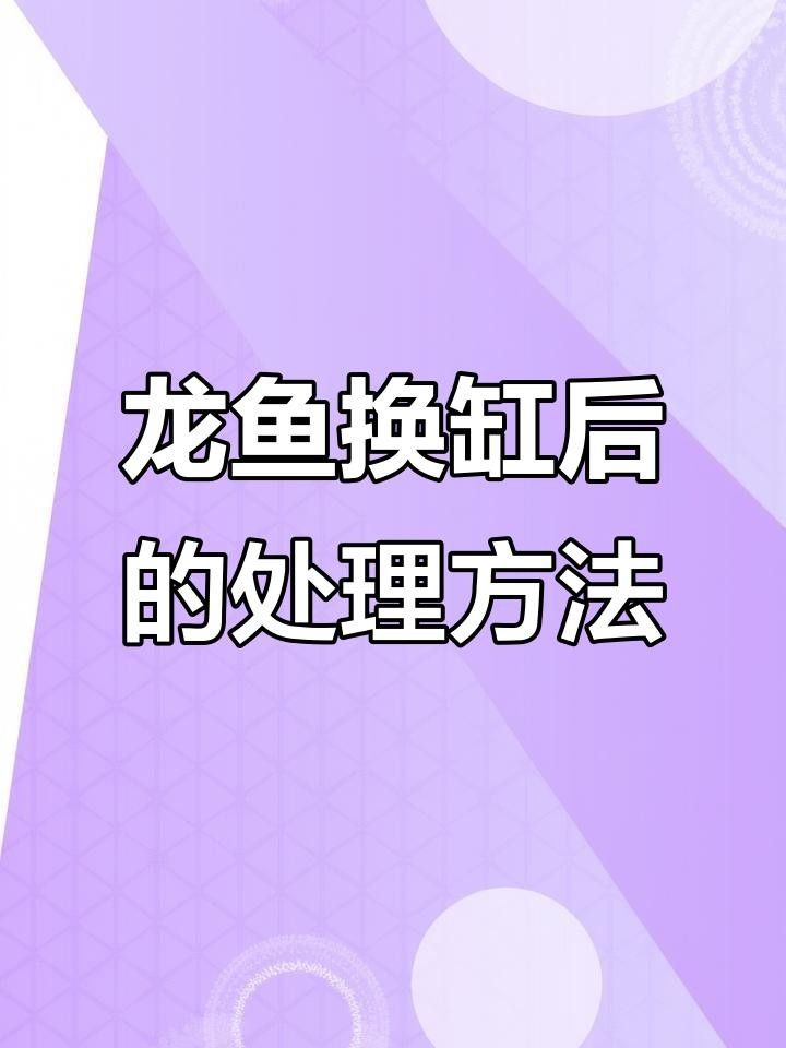 銀龍魚換水后如何處理？ 銀龍魚換水后如何處理？ 龍魚百科 第1張
