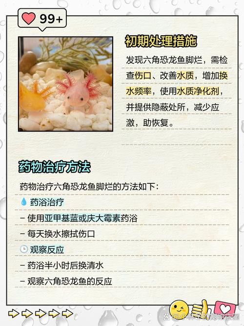 恐龍魚會不會跳缸呢圖片大全
