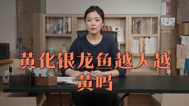銀龍魚顏色白的好還是青的好看些