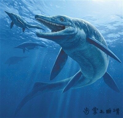 龍魚是什么時期就有的：龍魚作為觀賞魚的發展歷程