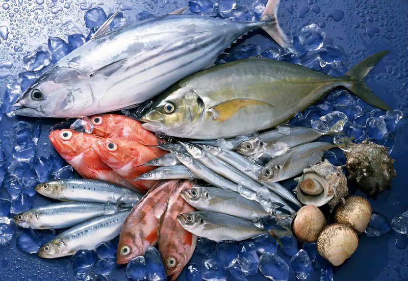 武漢龍魚(yú)哪里賣(mài)的價(jià)格高些啊